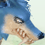 Starving Wolf