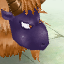 Whacky Lamb