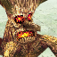 Phantom Tree