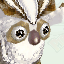 White Owlie
