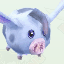 Snowy Piglet