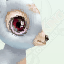 Little White Deer