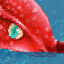 Fish Bone