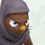 Ninja Mole