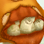 Killer Shroom