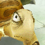 War Tortoise