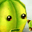 Melon