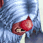 Atrocious Yeti King