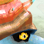 Hard Crust Snail