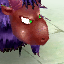 Crazy Sheep