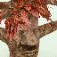 Lumbering Treant
