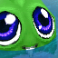 Big Eyed Polliwog