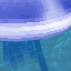 Shocking Sea Jelly