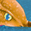 Hungry Fish Bone