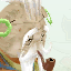 Terra Elder