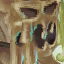 Swamp Man