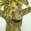 Swamp Warden