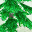 Mystic Tree