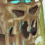 Swamp Champion