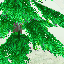Tree of Fortune