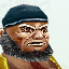 Pirate 008