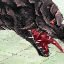 Tempest Dragon