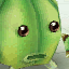 Melon