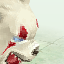 Great Polar Bear